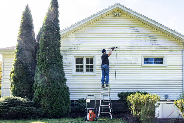 Best Affordable Power Washing  in Salmon, ID